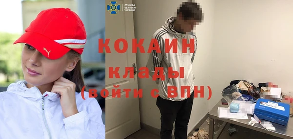 альфа пвп Бородино