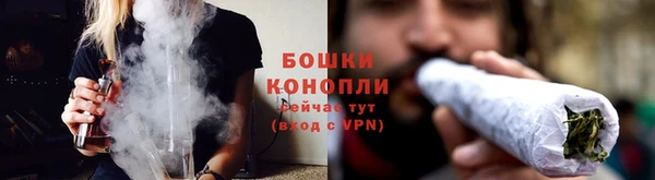 альфа пвп Бородино