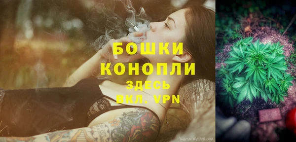 альфа пвп Бородино