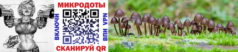 где найти наркотики  Фёдоровский  Псилоцибиновые грибы Cubensis 